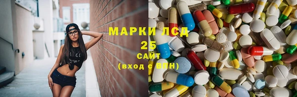 прущие грибы Осташков