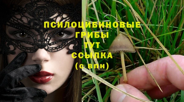 Альфа ПВП Абаза