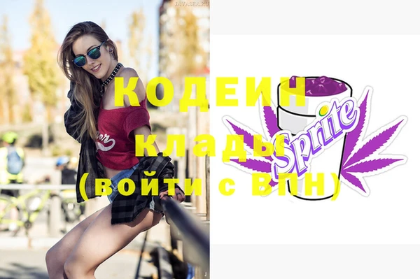 прущие грибы Осташков