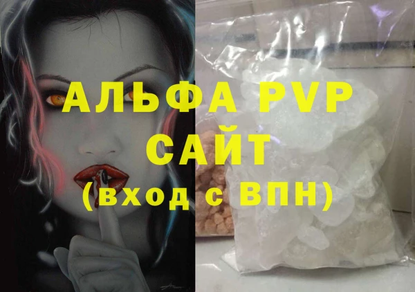 прущие грибы Осташков