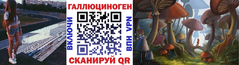 цены наркотик  Райчихинск  Псилоцибиновые грибы Cubensis 